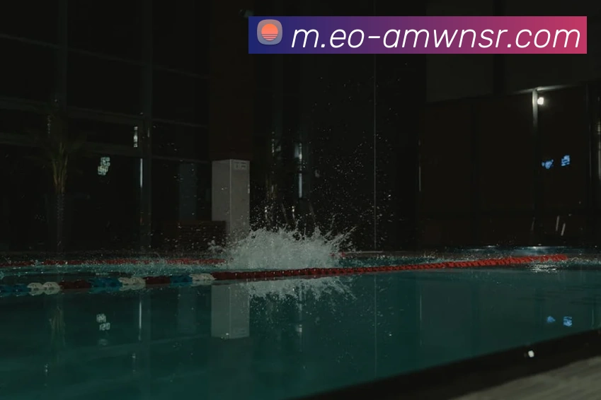 威尼斯人官网APP 封面图